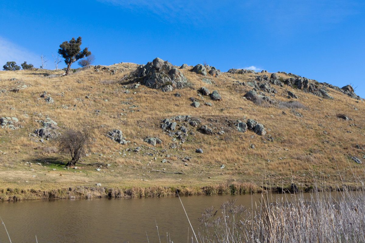 A rocky, grass-covered ridge with scattered granite boulders and two small trees above the river's edge.