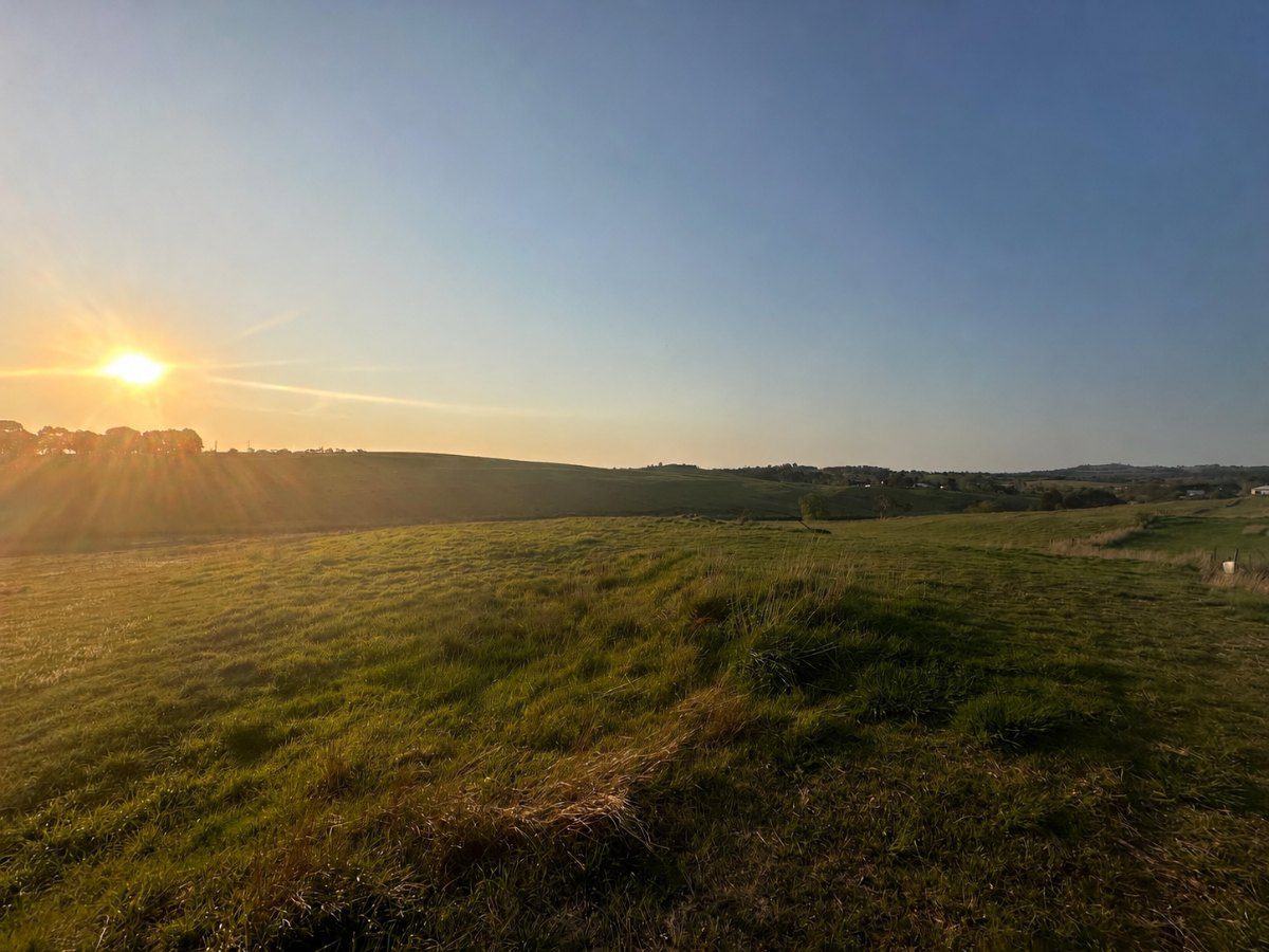 Low sun over an open grassed paddock rising to a ridge, with the valley beyond in warm light.