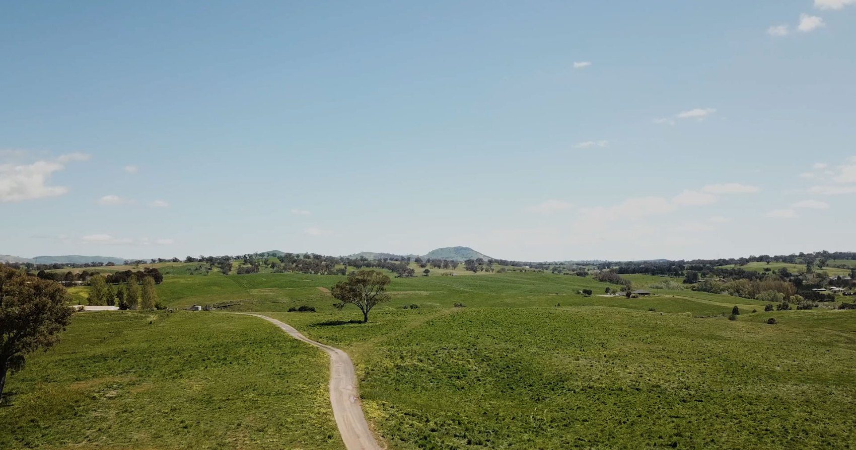 An elevated view over the green Stage 3 land, a gravel track curving past a single gum tree toward the hills and the edge of Yass beyond.