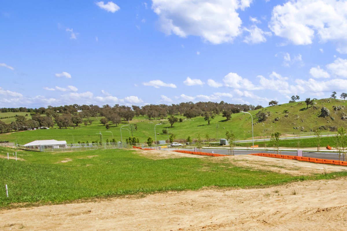 Serviced lots at Yarrah with kerbs, street lighting and new plantings in place, looking across to green grazing hills and scattered gum trees.